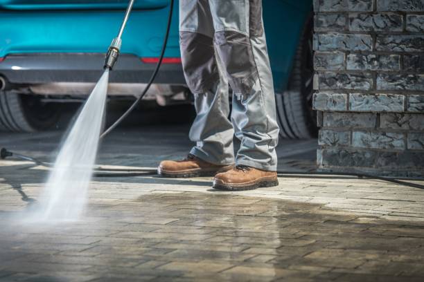 Best Roof Washing  in Terrell Hills, TX
