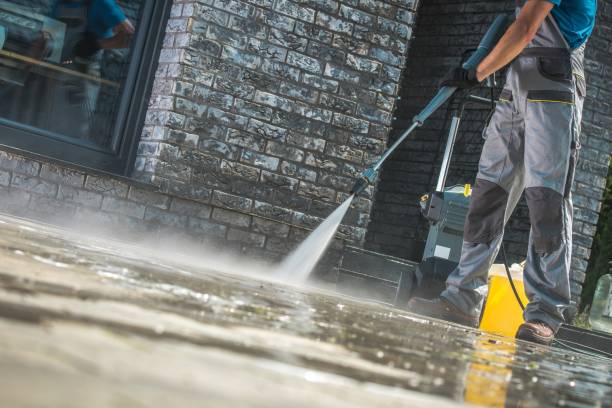 Best Animal Enclosure Cleaning  in Terrell Hills, TX