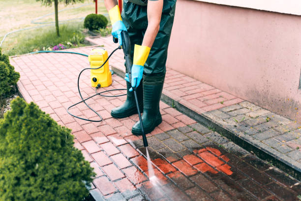 Best Restaurant Pressure Washing  in Terrell Hills, TX