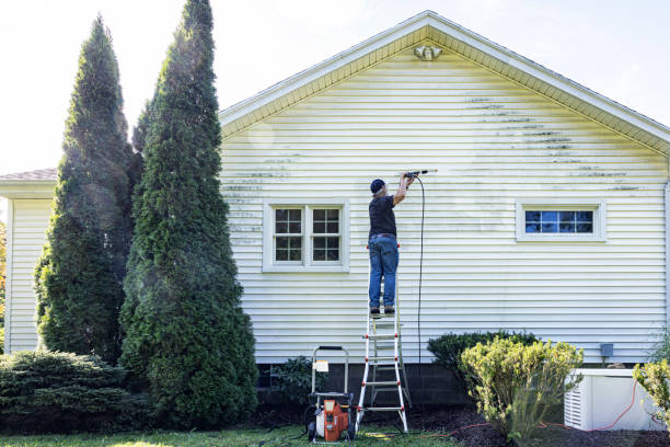 Best Fence Cleaning  in Terrell Hills, TX